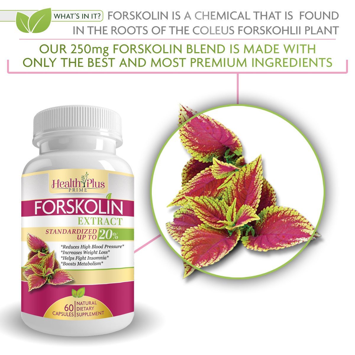 Apex Forskolin - Burns Belly Fat & Accelerates Weight Loss