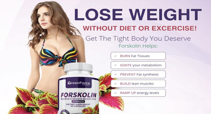 Forskolin Fat Loss Extract Weight Loss Formula - Free Trial Bottle